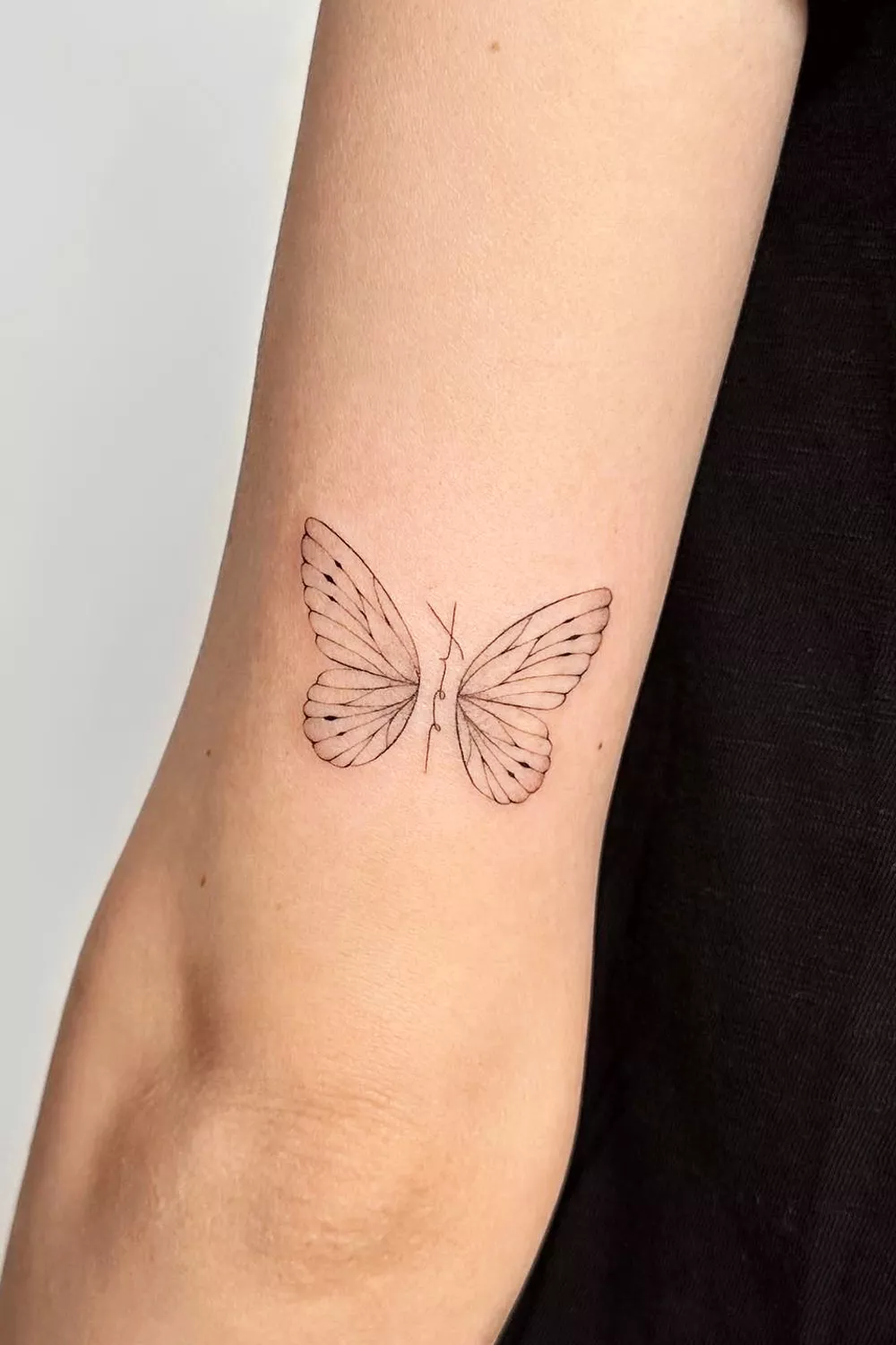 mariposas en el brazo
