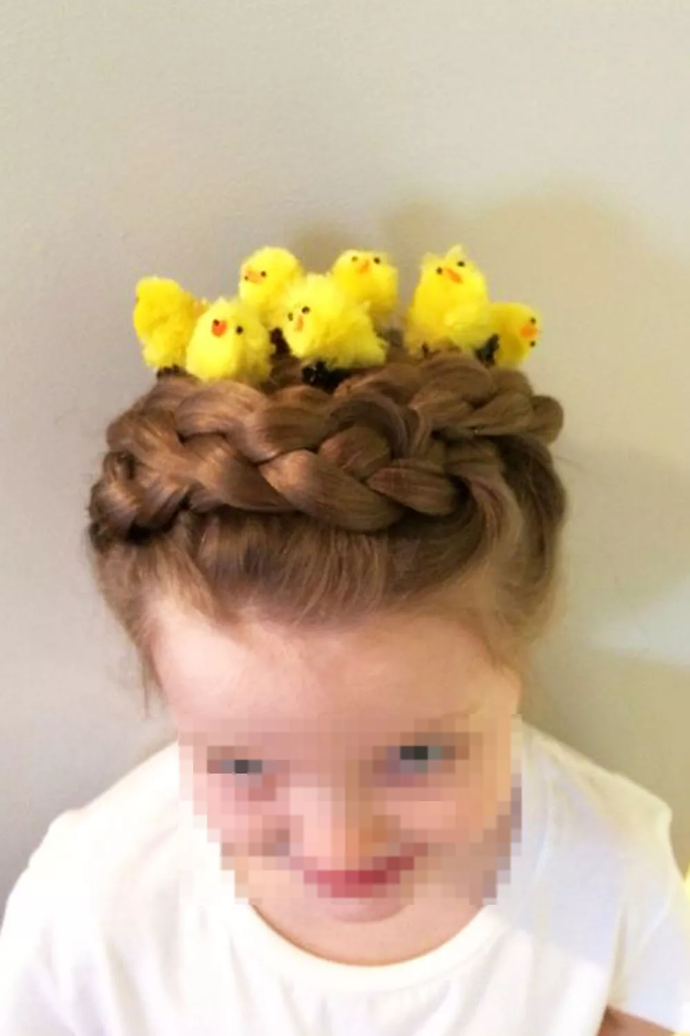 trenzas para crear un nido y pollitos