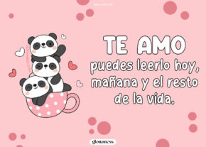 frases de amor