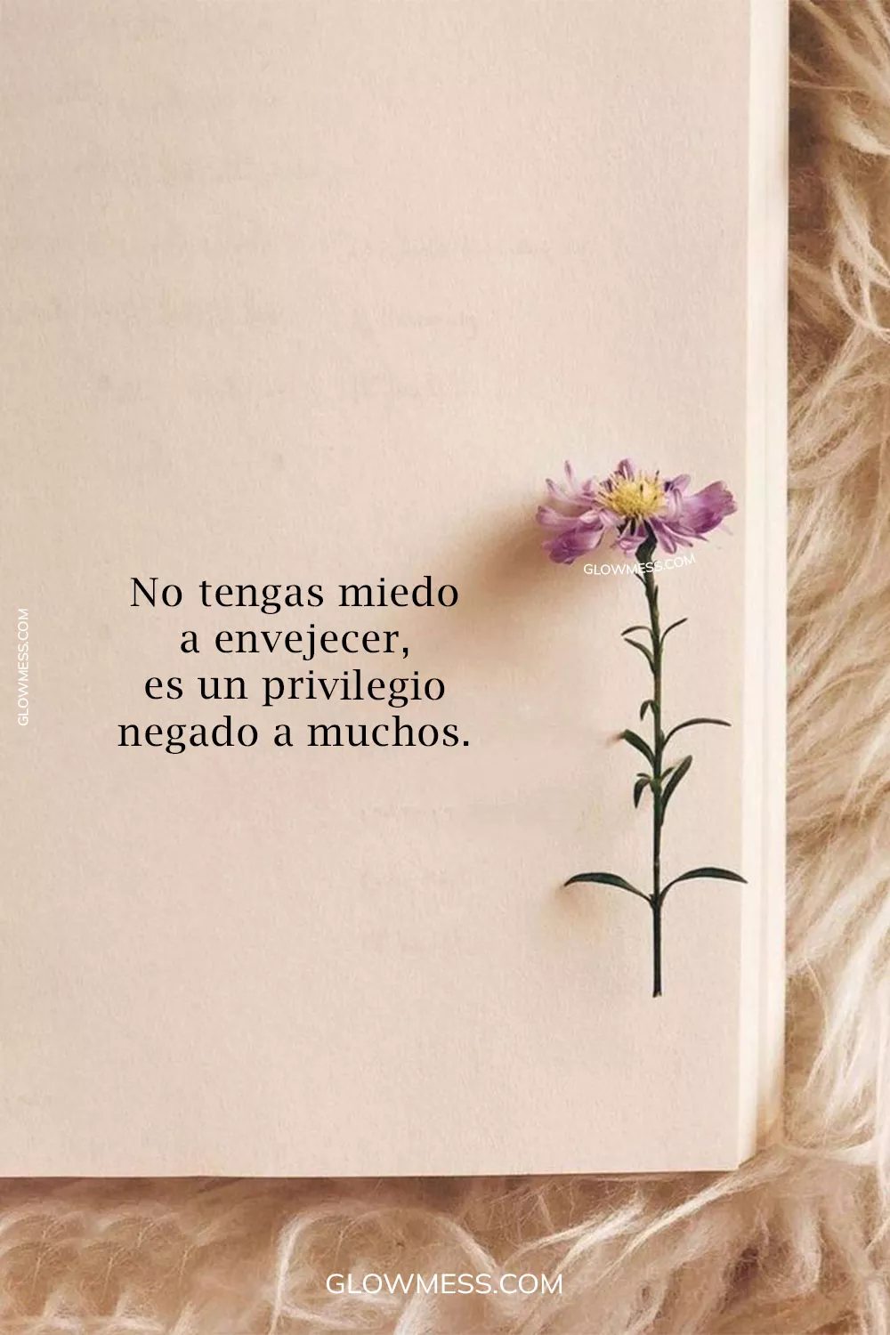 frases sabias que hacen pensar