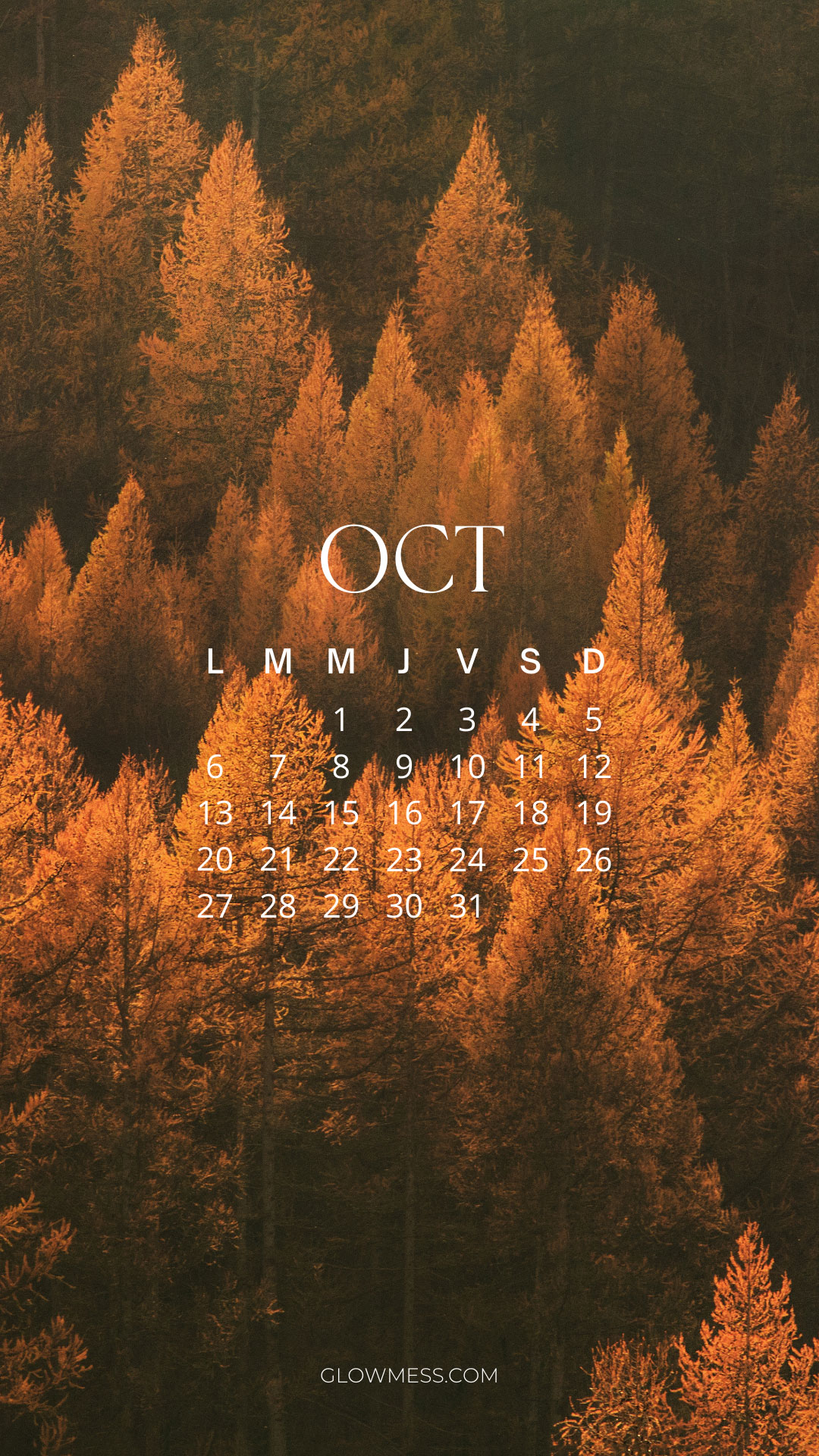 fondos de pantalla otoño para movil mes de octubre